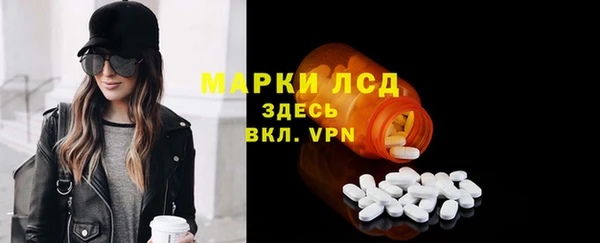 хмурый Алексин