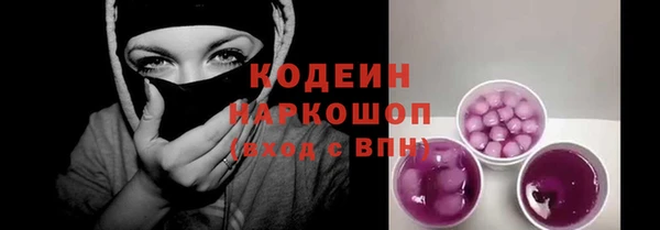 хмурый Алексин