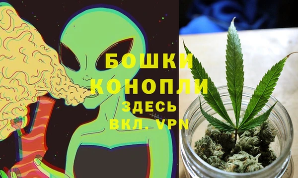 ешки Алзамай