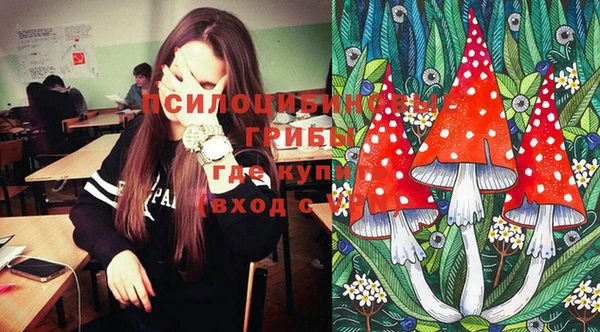 apvp Абдулино