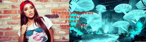 ешки Алзамай