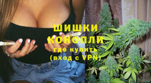 ешки Алзамай