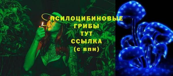 хмурый Алексин