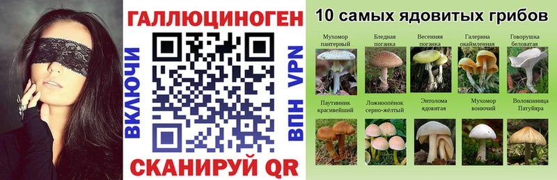 купить наркотики сайты  Юхнов  Псилоцибиновые грибы Psilocybine cubensis 